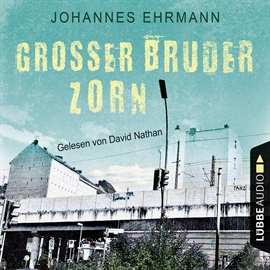 Hörbuch Großer Bruder Zorn  - Autor Johannes Ehrmann   - gelesen von David Nathan