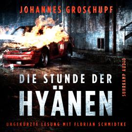 Hörbuch Die Stunde der Hyänen (Ungekürzt)  - Autor Johannes Groschupf   - gelesen von Florian Schmidtke