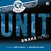 Unit 1.2: Snake Head