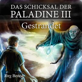 Hörbuch Gestrandet - Das Schicksal der Paladine, Band 3 (ungekürzt)  - Autor Jörg Benne   - gelesen von Florian Jung