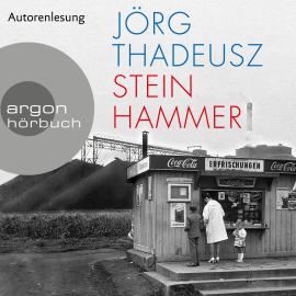 Hörbuch Steinhammer (Ungekürzte Autorenlesung)  - Autor Jörg Thadeusz   - gelesen von Jörg Thadeusz