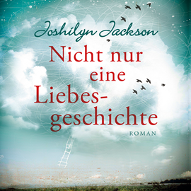 Hörbuch Nicht nur eine Liebesgeschichte  - Autor Joshilyn Jackson   - gelesen von Cathrin Bürger