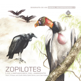 Hörbuch Zopilotes, los limpiadores del ambiente  - Autor Julio Coutiño Molina   - gelesen von Yuri Corzo Hernández