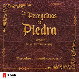 Hörbuch Los Peregrinos de Piedra  - Autor Julio Herrera y Reissig   - gelesen von Roberto Sánchez