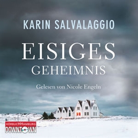 Hörbuch Eisiges Geheimnis  - Autor Karin Salvalaggio   - gelesen von Nicole Engeln
