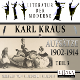 Aufsätze 1902-1914 - Teil 3