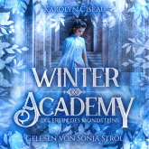 Winter Academy - Fantasy Hörbuch
