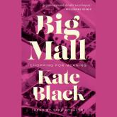 Big Mall - Shopping for Meaning (Unabridged)