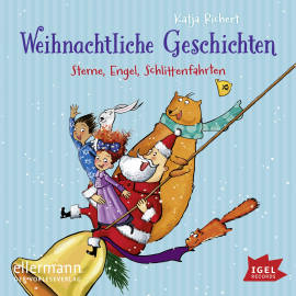 Hörbuch Weihnachtliche Geschichten  - Autor Katja Richert   - gelesen von Matthias Haase