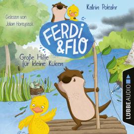 Hörbuch Große Hilfe für kleine Küken - Ferdi & Flo, Teil 2 (Ungekürzt)  - Autor Katrin Pokahr   - gelesen von Julian Horeyseck