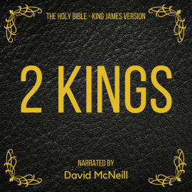 Hörbuch The Holy Bible - 2 Kings  - Autor King James   - gelesen von David McNeill