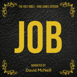 Hörbuch The Holy Bible - Job  - Autor King James   - gelesen von David McNeill