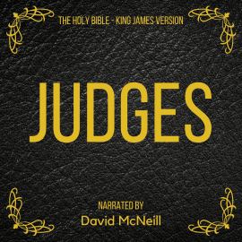 Hörbuch The Holy Bible - Judges  - Autor King James   - gelesen von David McNeill