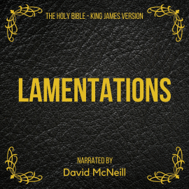 Hörbuch The Holy Bible - Lamentations  - Autor King James   - gelesen von David McNeill