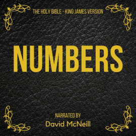 Hörbuch The Holy Bible - Numbers  - Autor King James   - gelesen von David McNeill