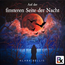 Hörbuch Auf der finsteren Seite der Nacht  - Autor Klara Bellis   - gelesen von Christian Denkers
