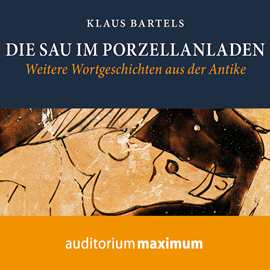 Hörbuch Die Sau im Porzellanladen  - Autor Klaus Bartels.   - gelesen von Wolfgang Schmidt