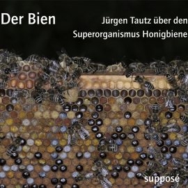 Hörbuch Der Bien  - Autor Klaus Sander   - gelesen von Jürgen Tautz