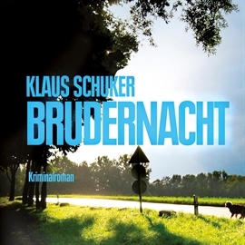 Hörbuch Brudernacht  - Autor Klaus Schuker   - gelesen von Julian Mehne