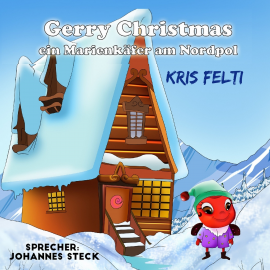 Hörbuch Gerry Christmas  - Autor Kris Felti   - gelesen von Johannes Steck