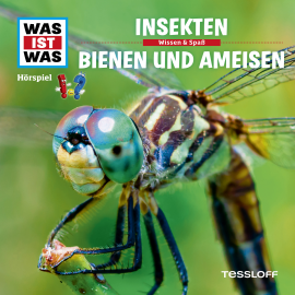 Hörbuch WAS IST WAS Hörspiel: Insekten/ Bienen & Ameisen  - Autor Kurt Haderer   - gelesen von Schauspielergruppe