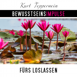 Hörbuch Bewusstseinsimpulse fürs Loslassen  - Autor Kurt Tepperwein   - gelesen von Kurt Tepperwein