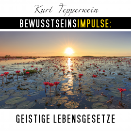 Hörbuch Bewusstseinsimpulse: Geistige Lebensgesetze  - Autor Kurt Tepperwein   - gelesen von Kurt Tepperwein