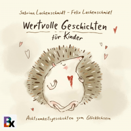Hörbuch Wertvolle Geschichten für Kinder  - Autor Lachenschmidt Sabrina   - gelesen von Felix Borrmann