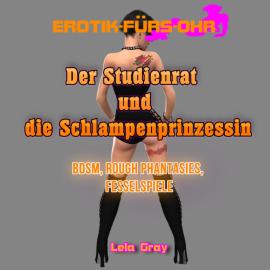 Hörbuch Der Studienrat und die Schlampenprinzessin - Erotik für's Ohr  - Autor Lela Gray   - gelesen von Schauspielergruppe