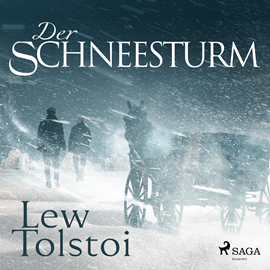 Hörbuch Der Schneesturm (Ungekürzt)  - Autor Lew Tolstoi   - gelesen von Andreas Herrler