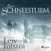 Hörbuch Der Schneesturm (Ungekürzt)  - Autor Lew Tolstoi   - gelesen von Andreas Herrler