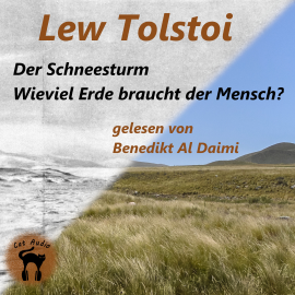 Hörbuch Der Schneesturm & Wieviel Erde braucht der Mensch?  - Autor Lew Tolstoi   - gelesen von Benedikt Al Daimi
