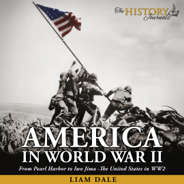 Hörbuch America in World War II  - Autor Liam Dale   - gelesen von Liam Dale
