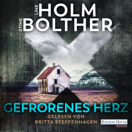 Hörbuch Gefrorenes Herz  - Autor Line Holm   - gelesen von Britta Steffenhagen