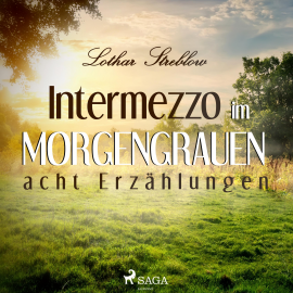 Hörbuch Intermezzo im Morgengrauen - Acht Erzählungen (Ungekürzt)  - Autor Lothar Streblow   - gelesen von Lothar Streblow
