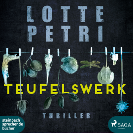 Hörbuch Teufelswerk  - Autor Lotte Petri   - gelesen von Katharina Abt