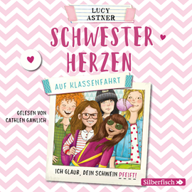 Hörbuch Auf Klassenfahrt (Ich glaub DEIN Schwein pfeift!)  - Autor Lucy Astner   - gelesen von Cathlen Gawlich
