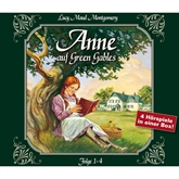 Anne auf Green Gables, Folge 1 - 4