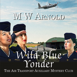 Hörbuch Wild Blue Yonder  - Autor M.W. Arnold   - gelesen von Emma Powell