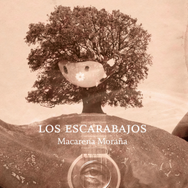 Hörbuch Los escarabajos  - Autor Macarena Moraña   - gelesen von Matías Gallego