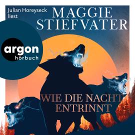 Hörbuch Wie die Nacht entrinnt - Dreamer-Trilogie, Band 3 (Ungekürzte Lesung)  - Autor Maggie Stiefvater   - gelesen von Julian Horeyseck