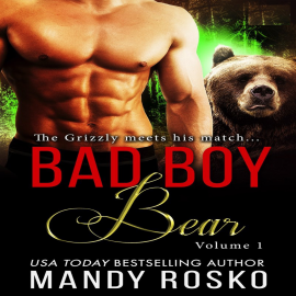 Hörbuch Bad Boy Bear  - Autor Mandy Rosko   - gelesen von Saoirse Wise