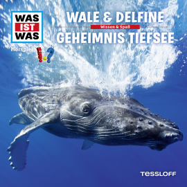 Hörbuch WAS IST WAS Hörspiel: Wale & Delfine/ Geheimnisse der Tiefsee  - Autor Manfred Baur   - gelesen von Schauspielergruppe