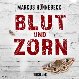 Hörbuch Blut und Zorn - Drosten & Sommer, Band 3 (ungekürzt)  - Autor Marcus Hünnebeck   - gelesen von Günter Merlau