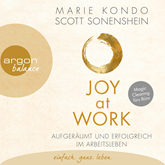 Hörbuch Joy at Work - Aufgeräumt und erfolgreich im Arbeitsleben  - Autor Marie Kondo;Scott Sonenshein   - gelesen von Nora Schulte
