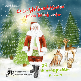 Hörbuch Als der Weihnachtsmann seinen Bauch verlor - 24 Weihnachtsgeschichten für Kinder (ungekürzt)  - Autor Marit Bernson.   - gelesen von Christian von Aster