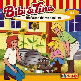 Hörbuch Bibi & Tina, Folge 63: Die Waschbären sind los  - Autor Markus Dittrich   - gelesen von Schauspielergruppe