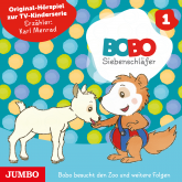 Hörbuch Bobo Siebenschläfer. Bobo besucht den Zoo und weitere Folgen  - Autor Markus Osterwalder   - gelesen von Schauspielergruppe