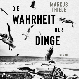 Hörbuch Die Wahrheit der Dinge  - Autor Markus Thiele   - gelesen von Herbert Schäfer