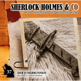Hörbuch Der Jungbrunnen, Episode 2 (Sherlock Holmes & Co 37)  - Autor Markus Topf   - gelesen von Schauspielergruppe